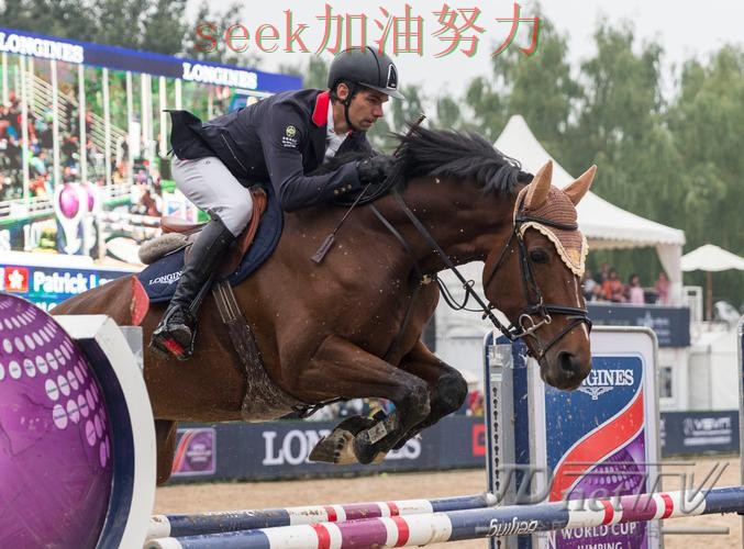 世界杯竞猜网站评测：速度测试与用户反馈分析 - 世界杯全球总决赛